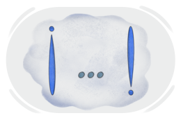 Exclamation Mark in Spanish