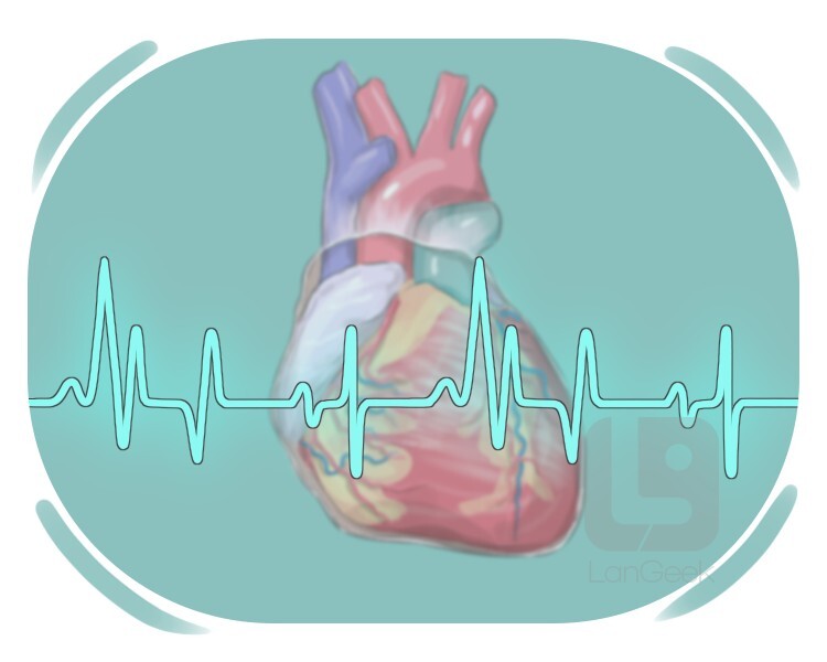 le battement definition and meaning
