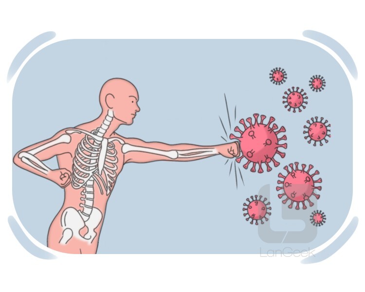 immune system definition and meaning