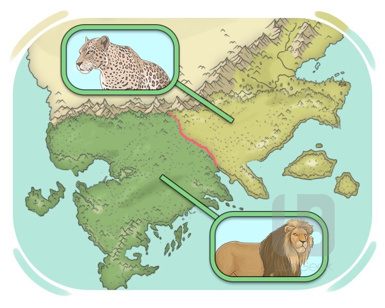 territory definition and meaning