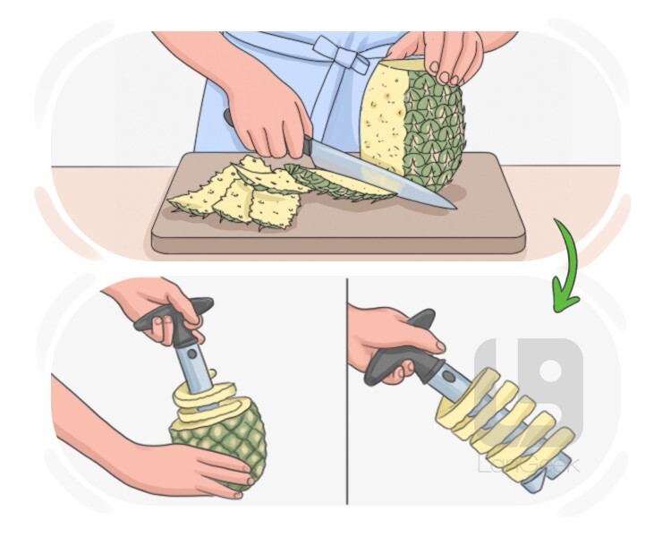 to update definition and meaning