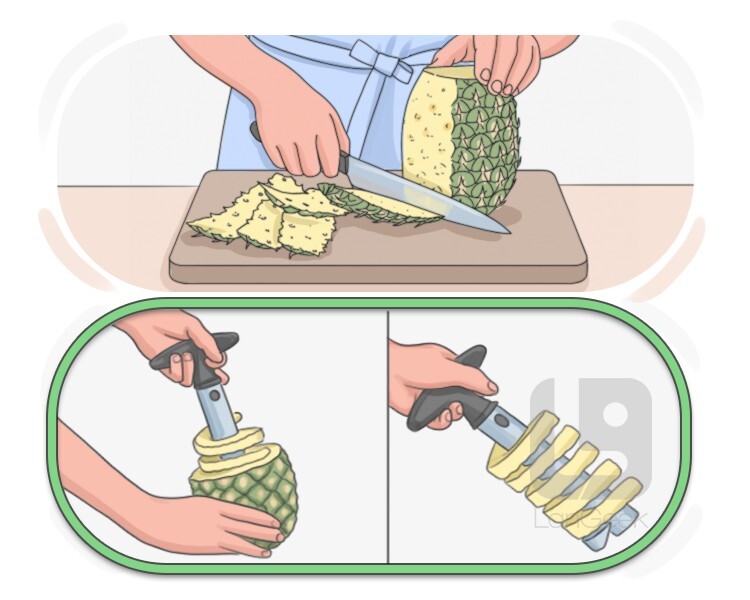 novel definition and meaning