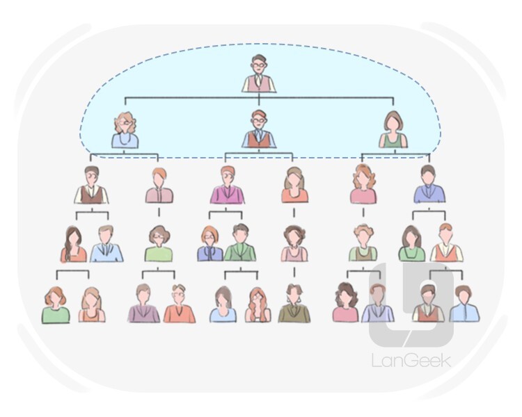 el comisionado definition and meaning