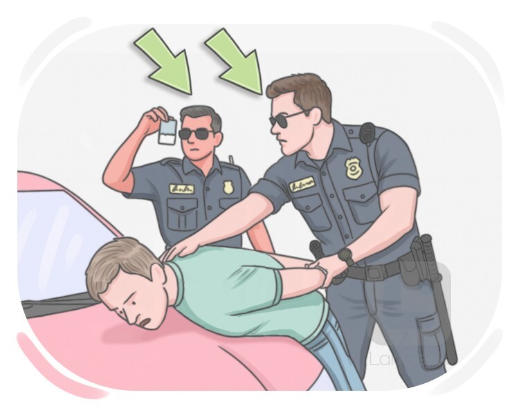 narc definition and meaning