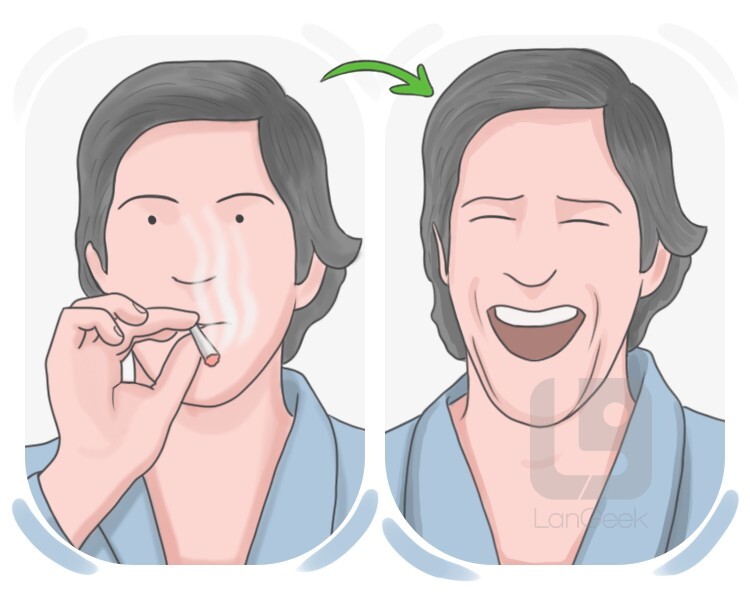 stoned definition and meaning