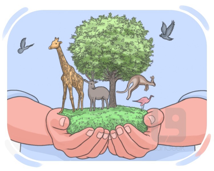 conservation definition and meaning