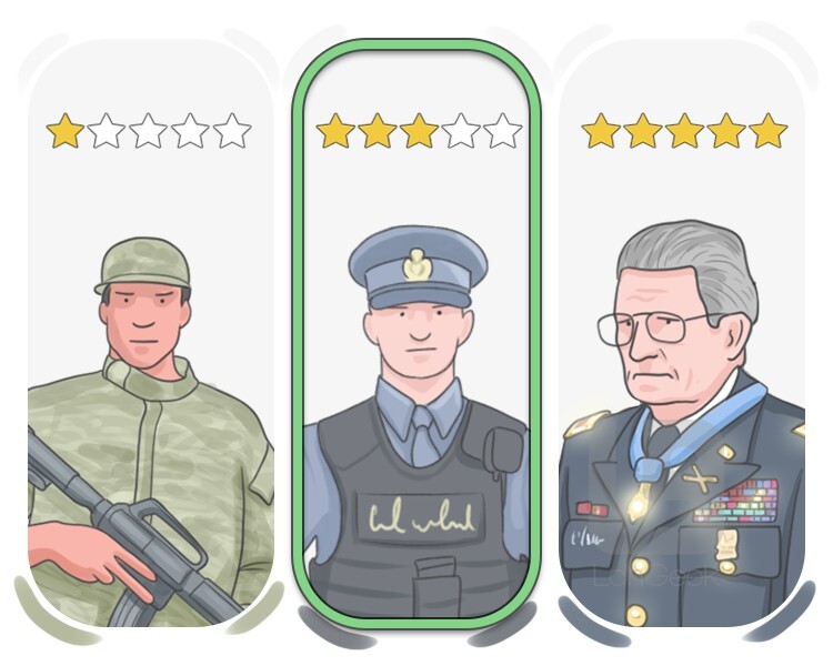 inspector definition and meaning