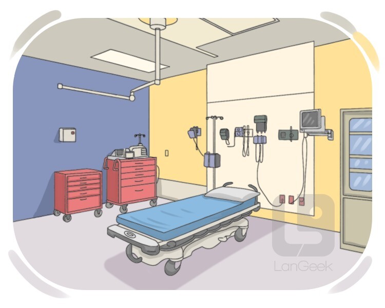 emergency room definition and meaning