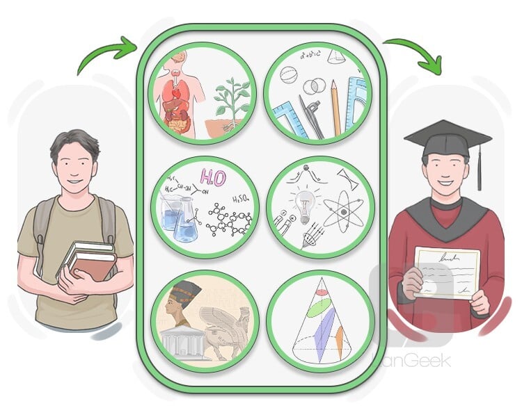 curriculum definition and meaning