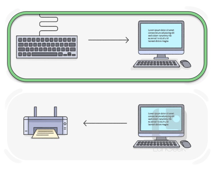 input definition and meaning