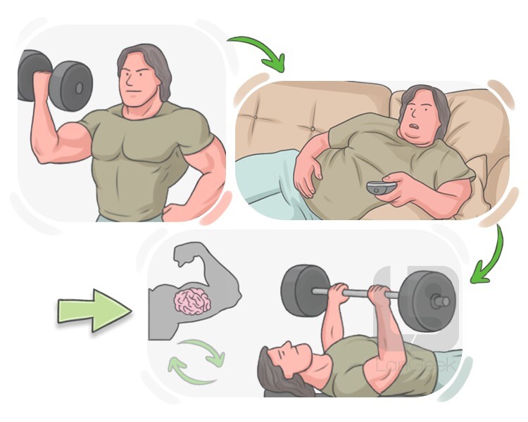 muscle memory definition and meaning