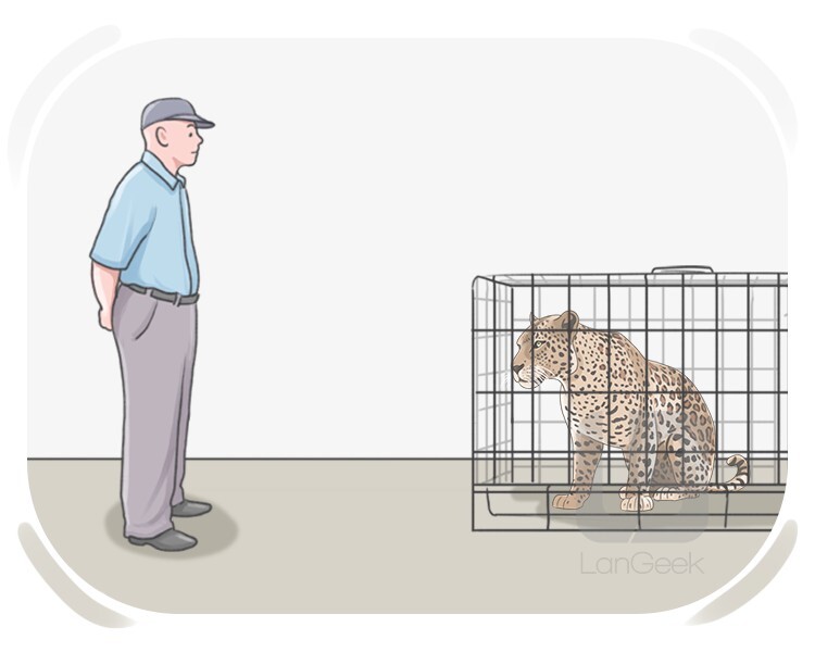 out of harm's way definition and meaning