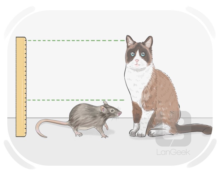 comparative definition and meaning