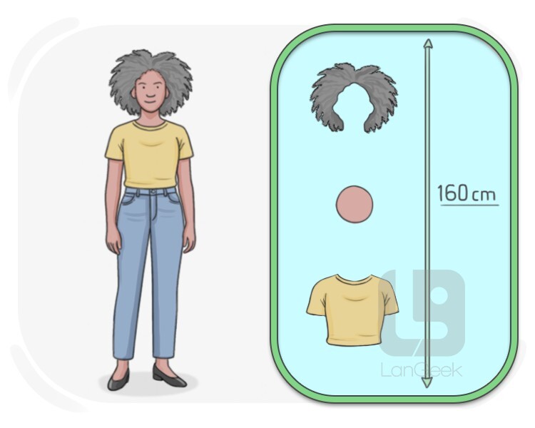 descriptive definition and meaning