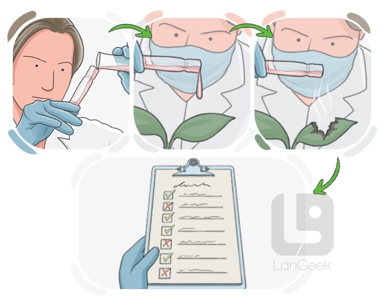 evaluation definition and meaning