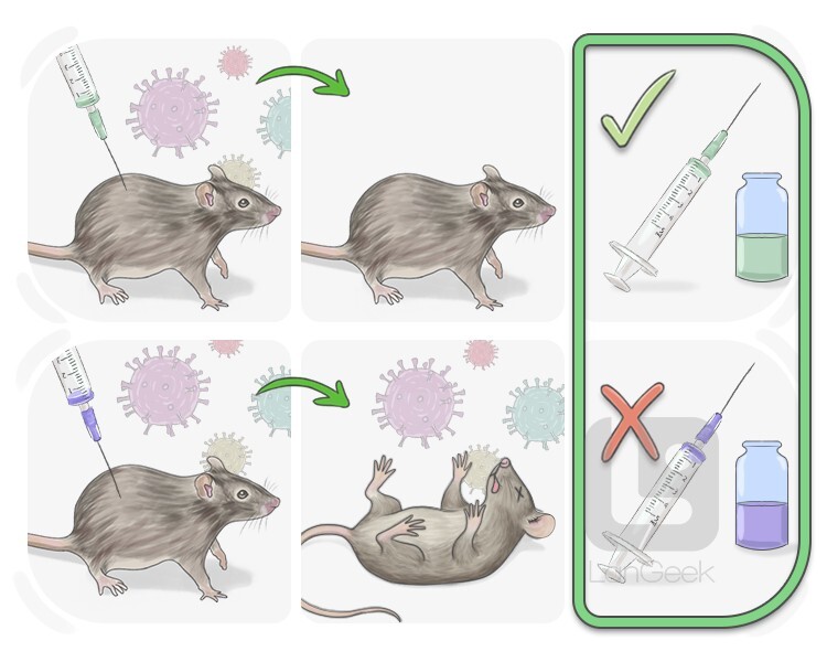 finding definition and meaning