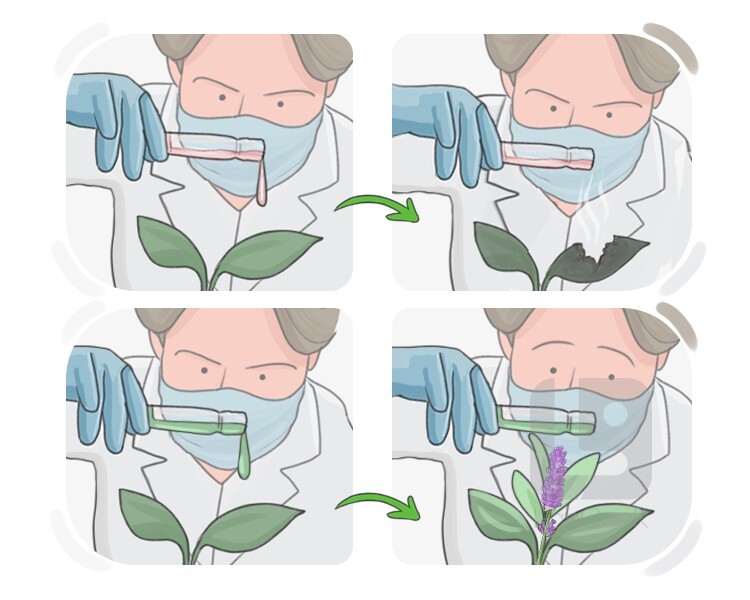 trial definition and meaning