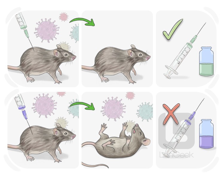 trial and error definition and meaning