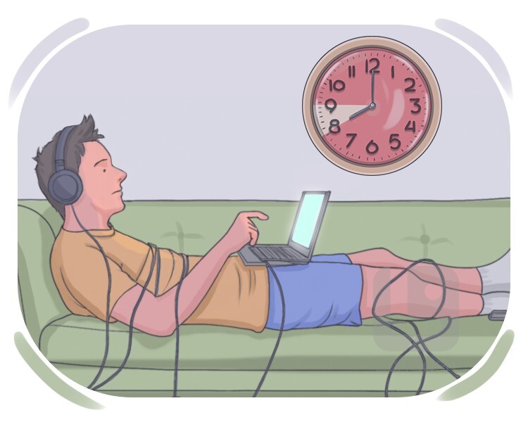 net surfer definition and meaning