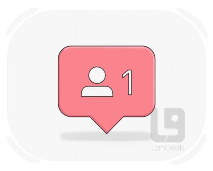 follower definition and meaning