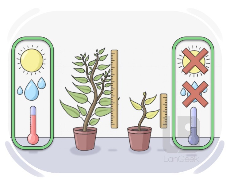 variable definition and meaning