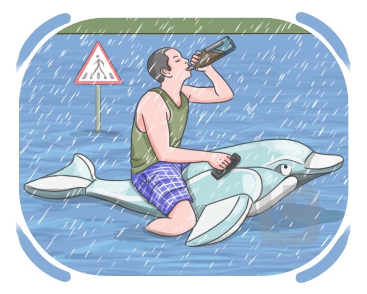 Florida man definition and meaning