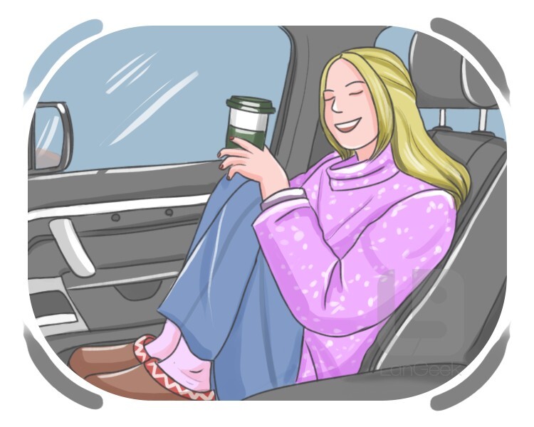 passenger princess definition and meaning