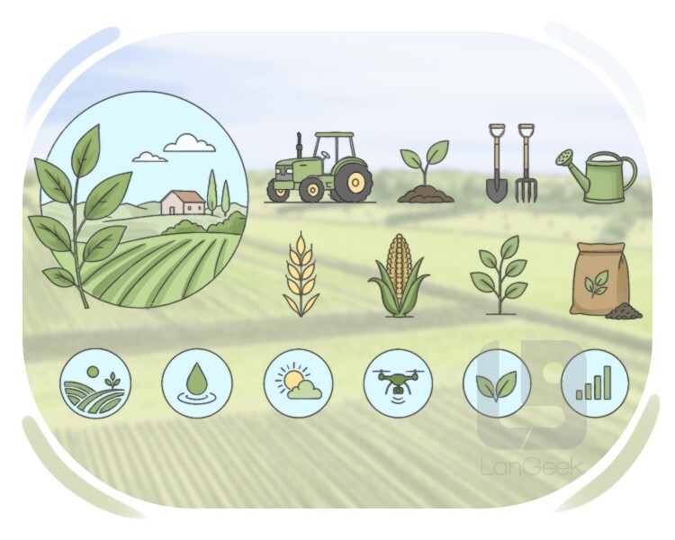 agricultural definition and meaning