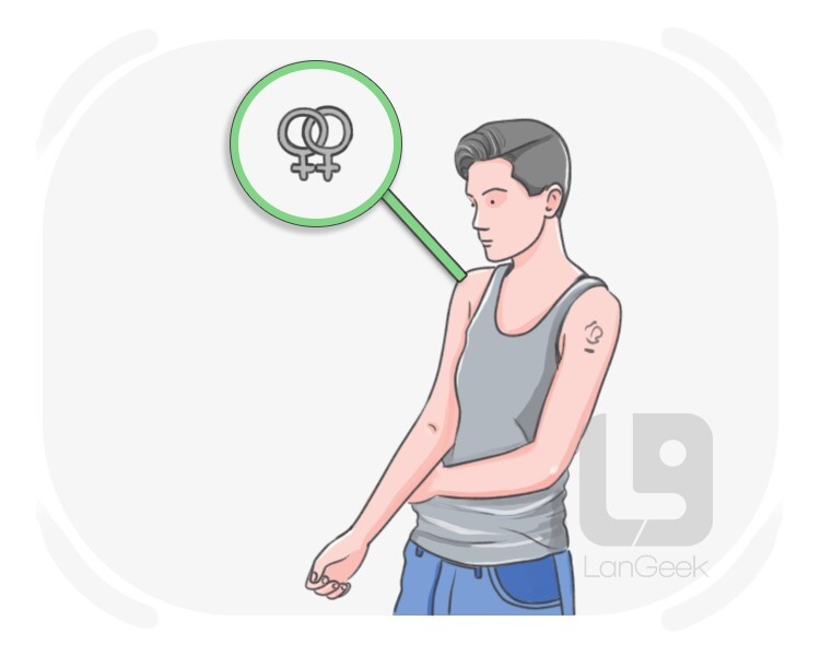 baby butch definition and meaning