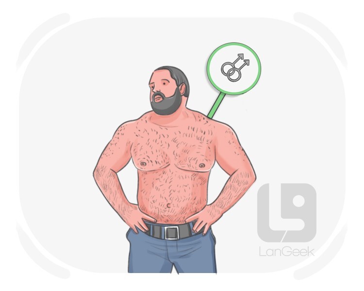 bear definition and meaning