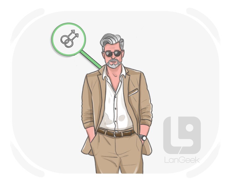 silver fox definition and meaning