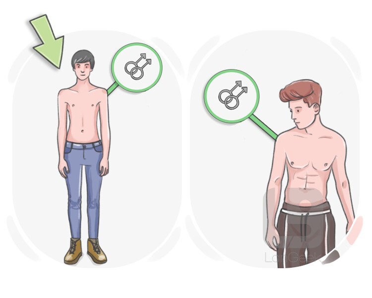 twink definition and meaning