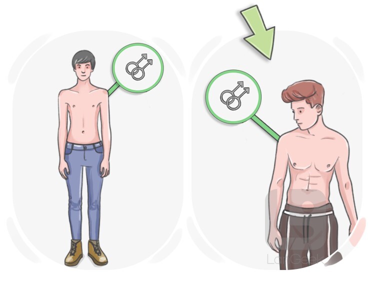 twunk definition and meaning