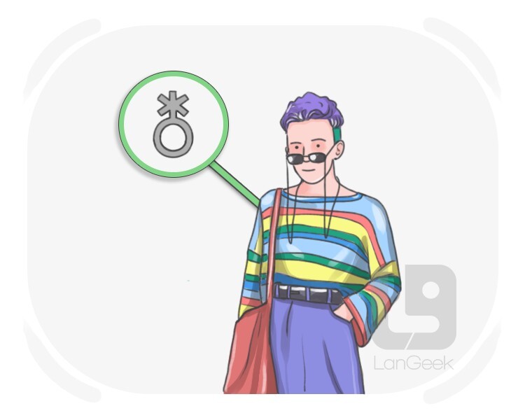 enby definition and meaning