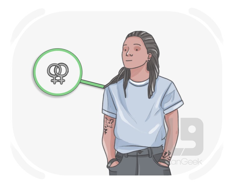 stud definition and meaning