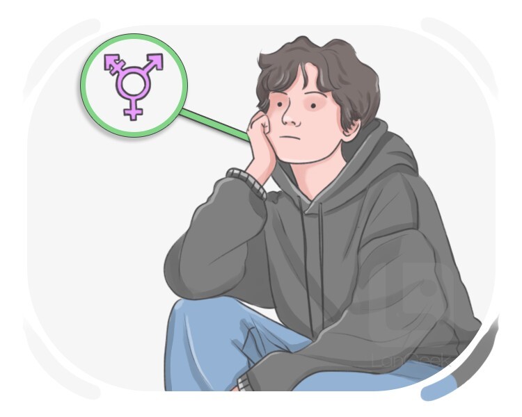 boymoder definition and meaning