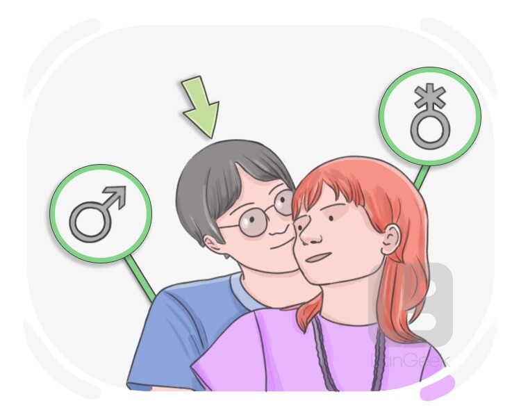 skoliosexual definition and meaning