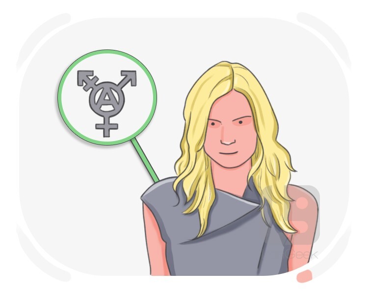 tranarchist definition and meaning