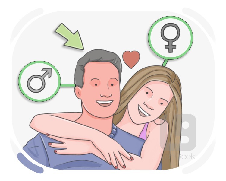 cishet definition and meaning