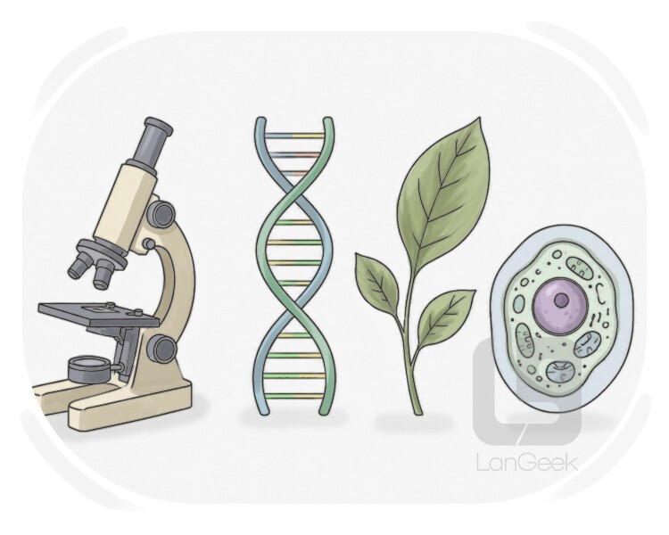 biological definition and meaning