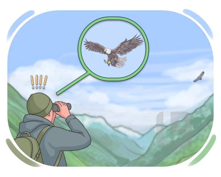 to spot definition and meaning