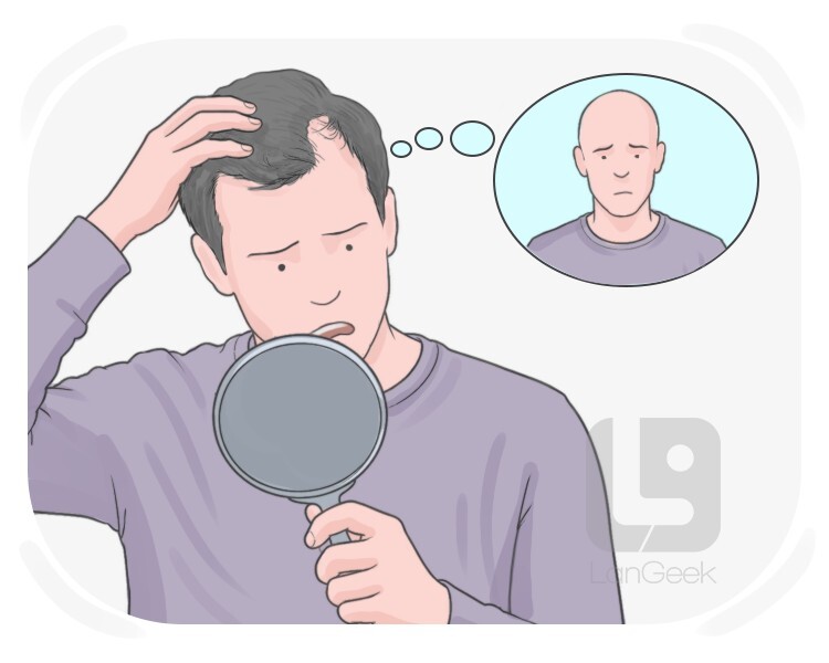 soucieux definition and meaning