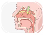 mucus