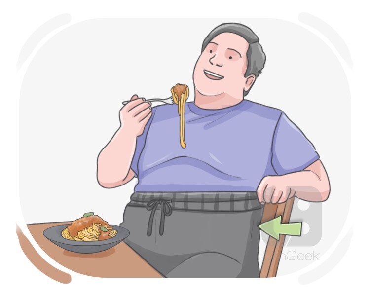 fat pants definition and meaning