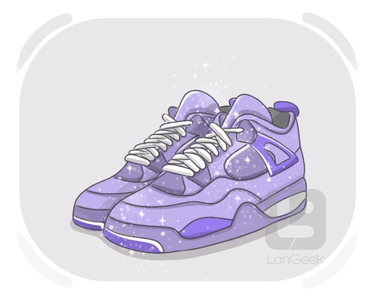 der Turnschuh definition and meaning