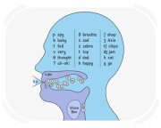 phonetics