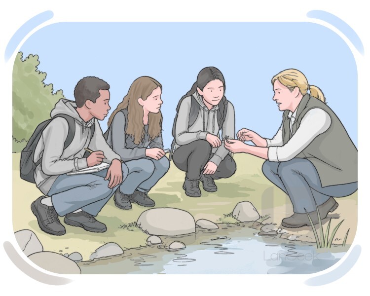 field trip definition and meaning