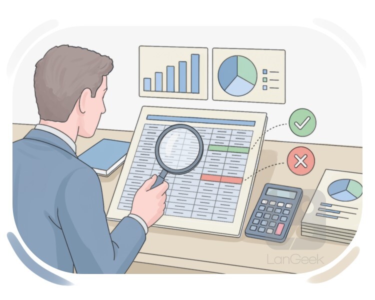 audit definition and meaning