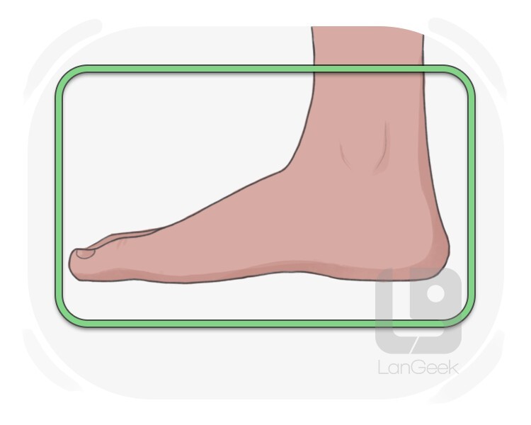gripper definition and meaning