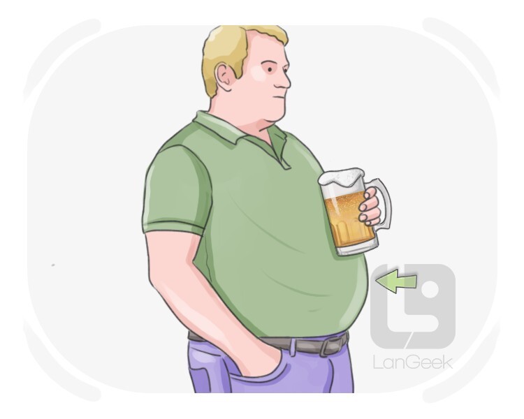 das Pils definition and meaning